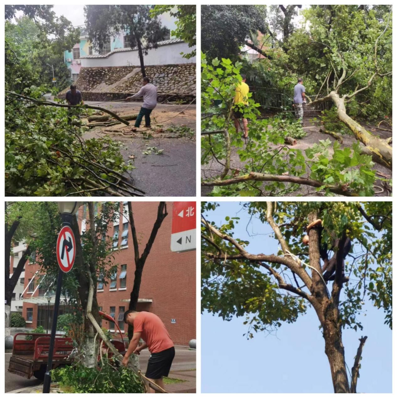 太阳网集团tcy8722