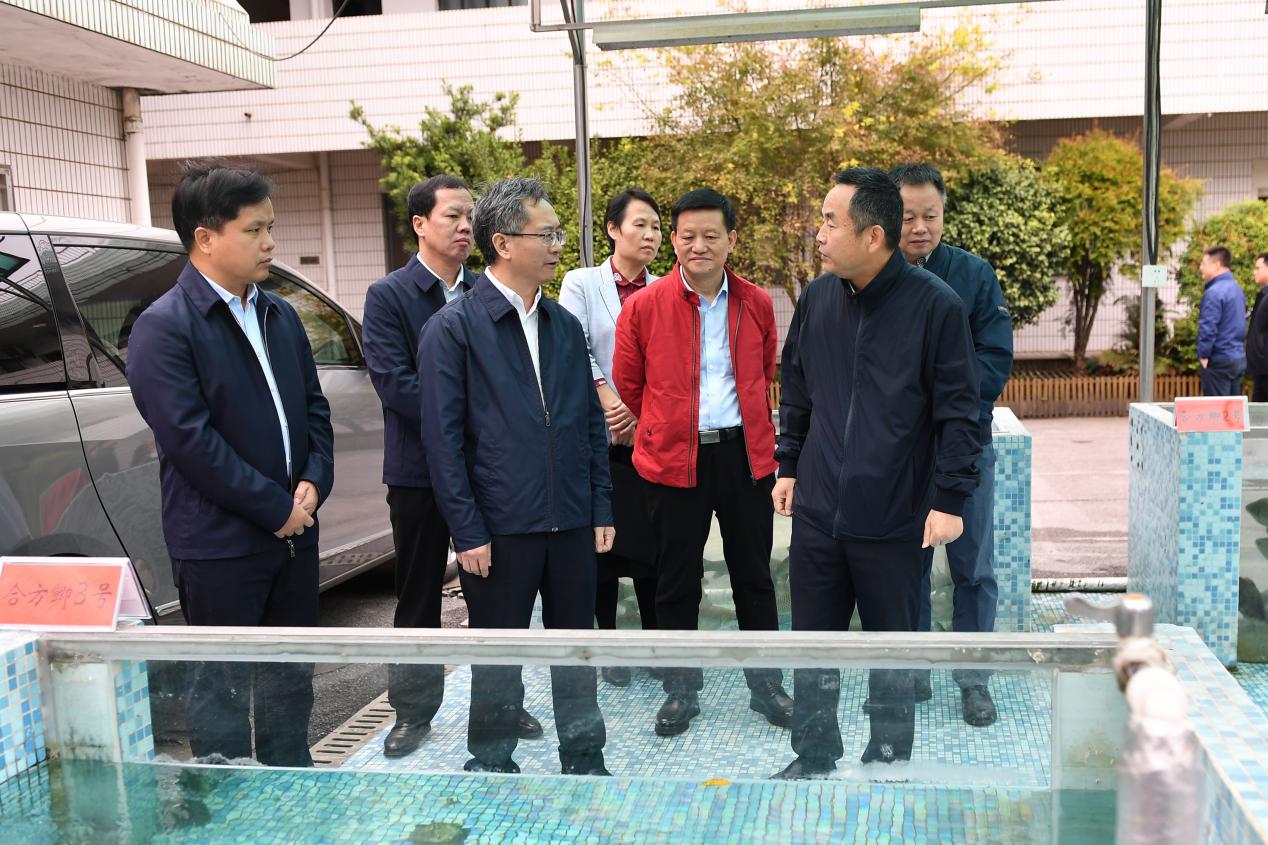 太阳网集团tcy8722