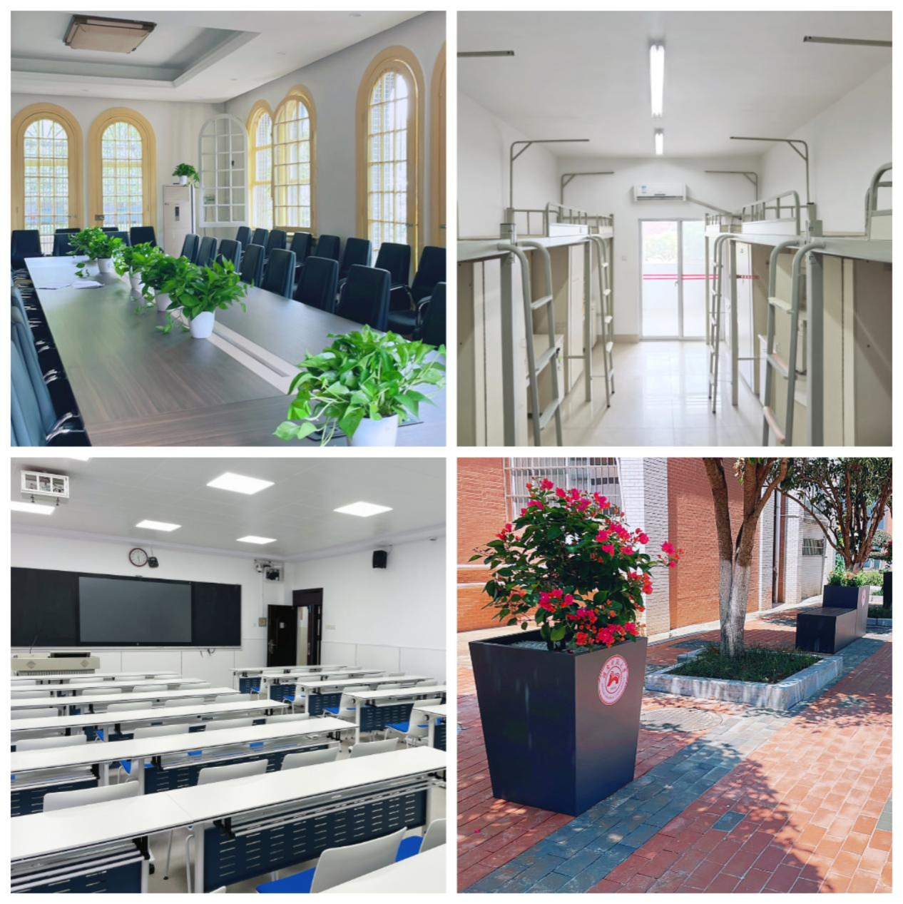 太阳网集团tcy8722