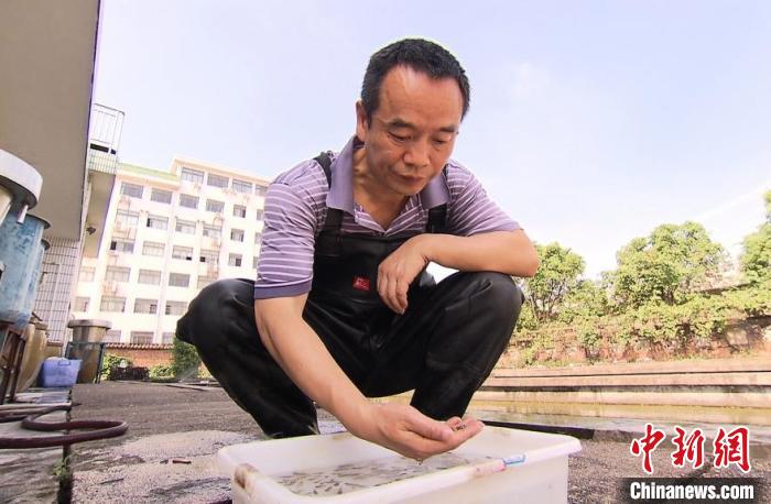 太阳网集团tcy8722