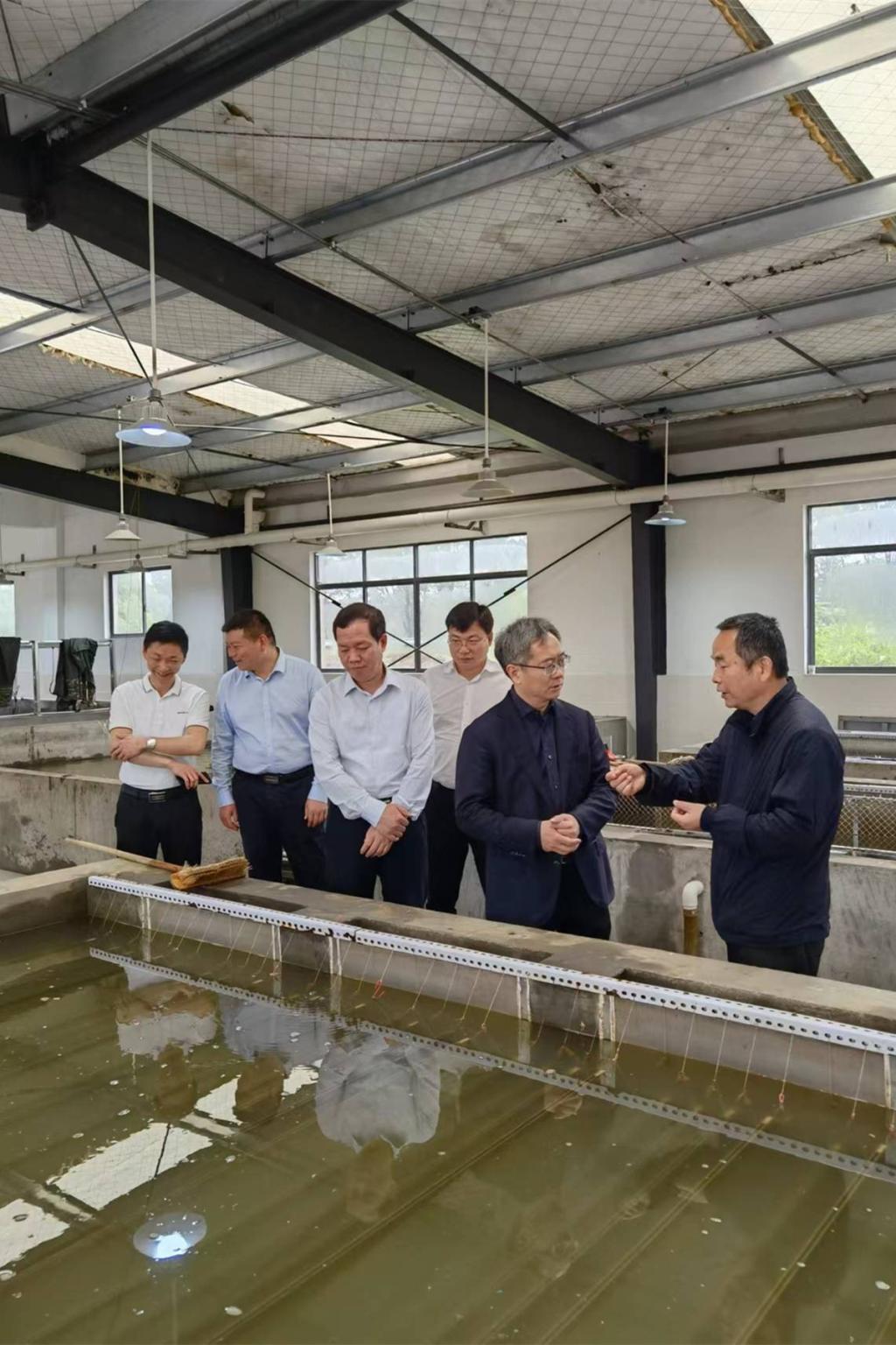 太阳网集团tcy8722