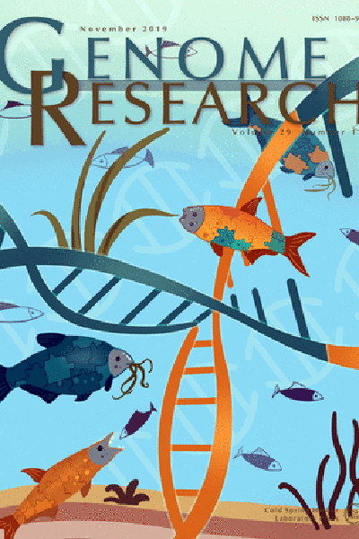 太阳网集团tcy8722